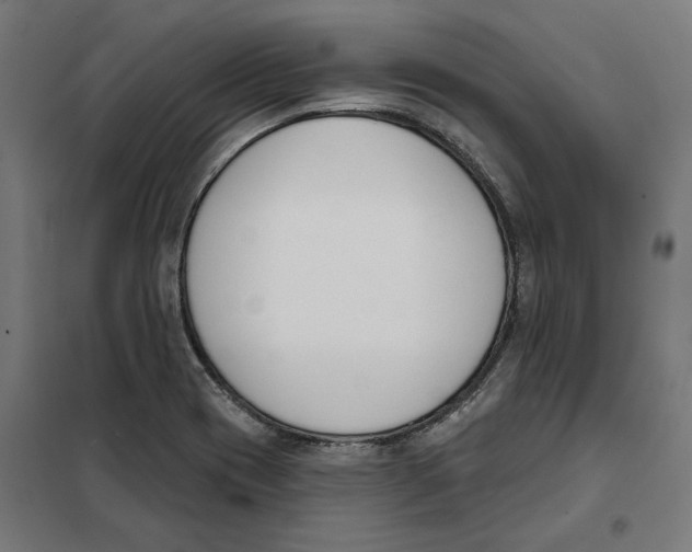 X0000101201417200807251015