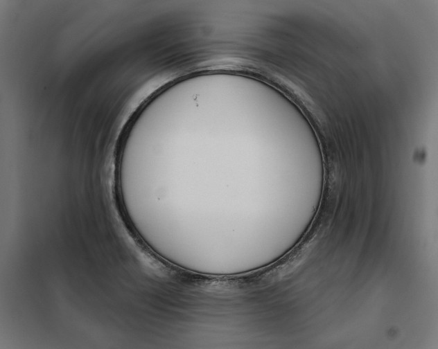 X0000101201418200807251015