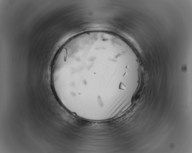 X0000101201419200807251015