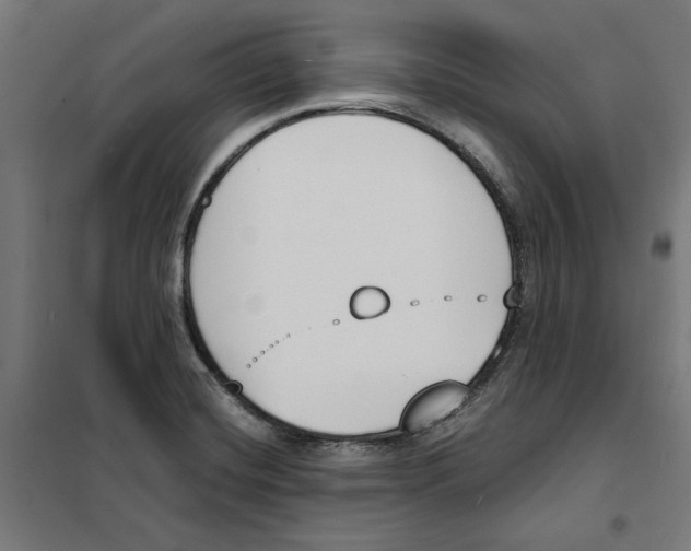 X0000101201420200807251015