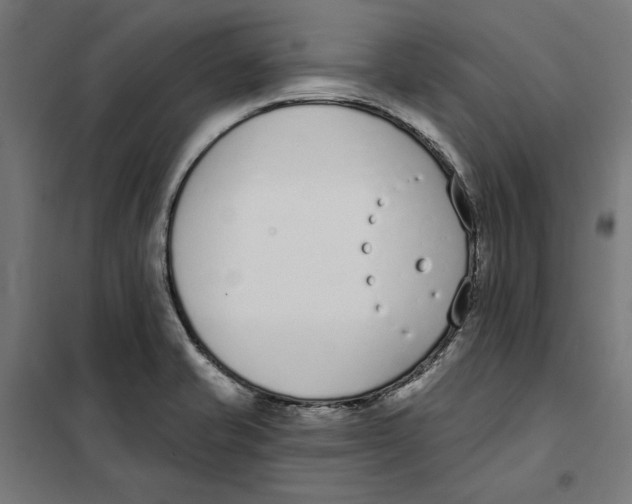 X0000101201421200807251015