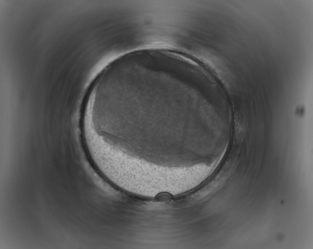 X0000101201422200807251015