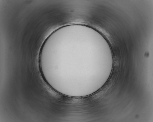 X0000101201423200807251015