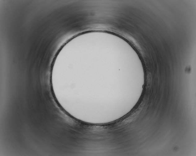 X0000101201424200807251015