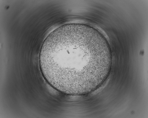 X0000101201425200807251015
