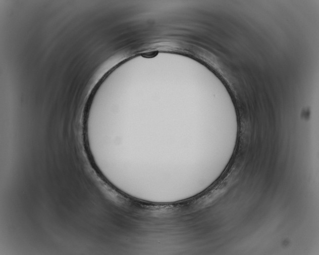 X0000101201426200807251015