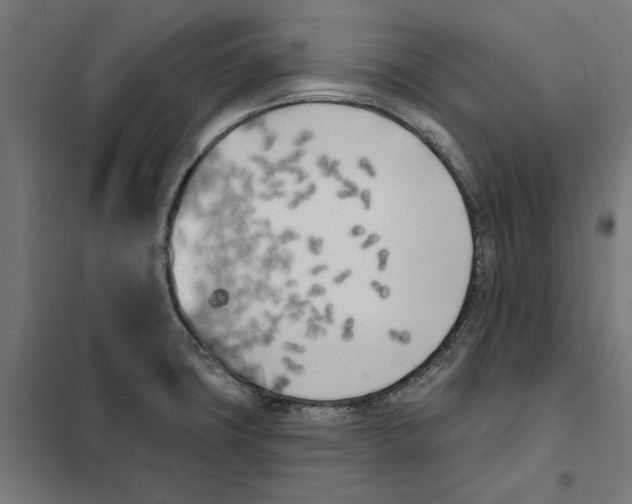 X0000101201427200807251015