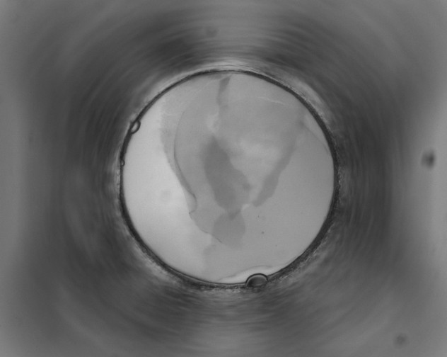 X0000101201428200807251015