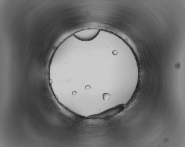 X0000101201429200807251015