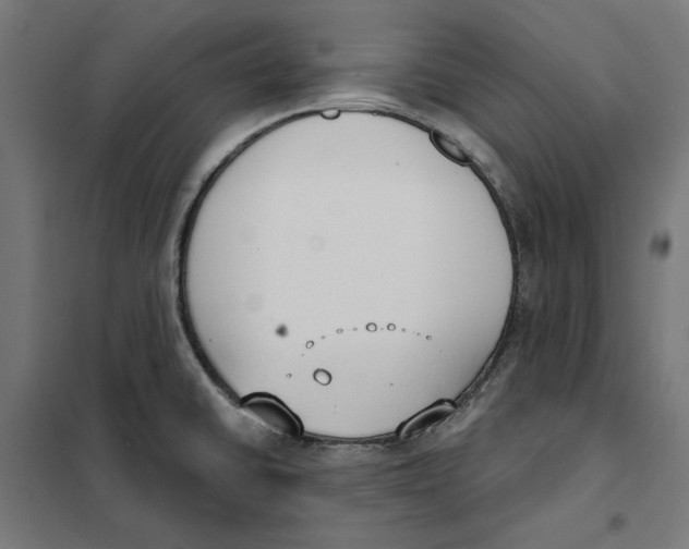 X0000101201430200807251015