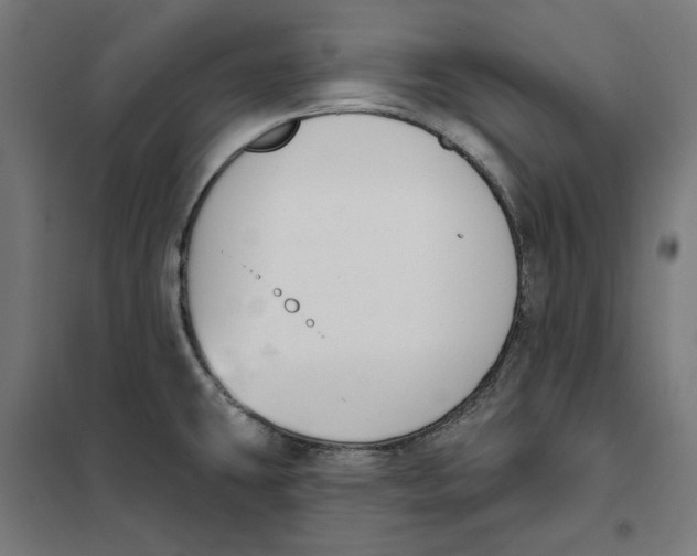 X0000101201431200807251015