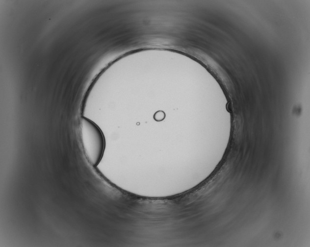 X0000101201432200807251015