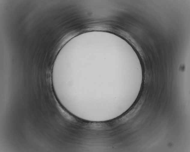 X0000101201433200807251015