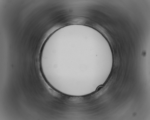 X0000101201434200807251015