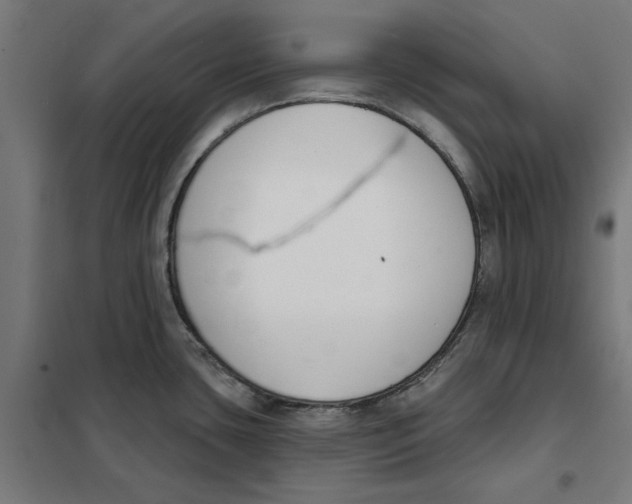 X0000101201435200807251015