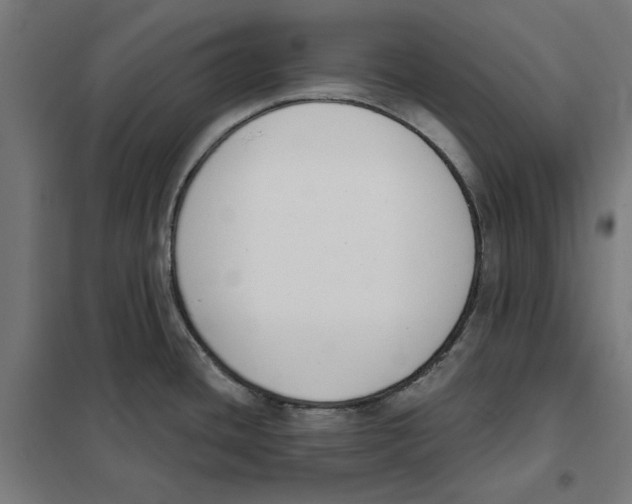 X0000101201436200807251015