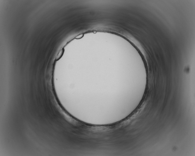 X0000101201437200807251015