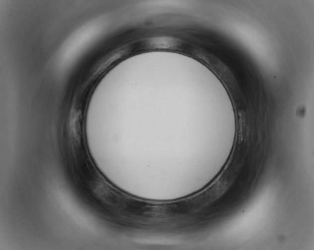 X0000101201438200807251015