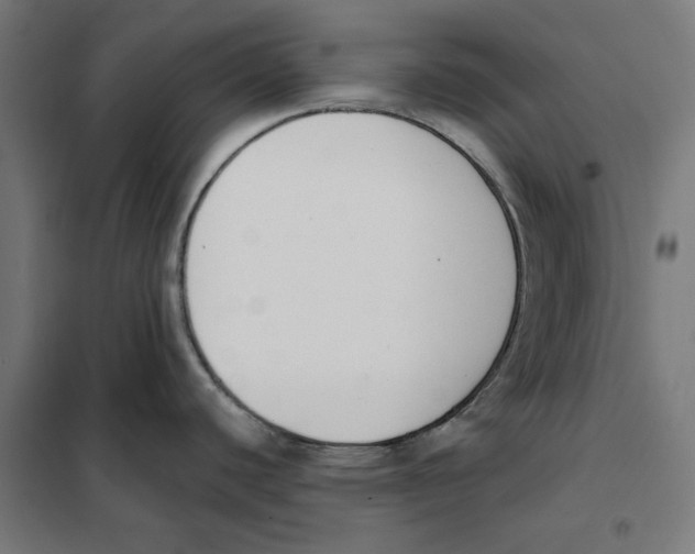 X0000101201440200807251015