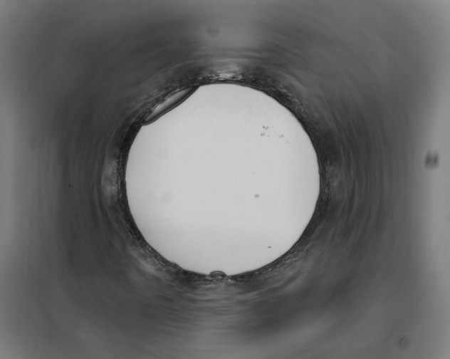 X0000101201442200807251014