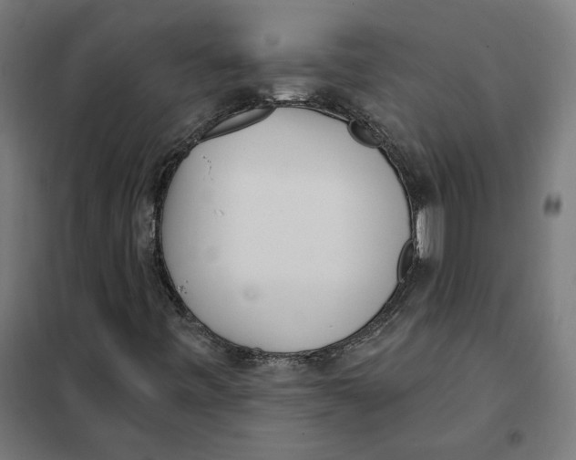 X0000101201443200807251014