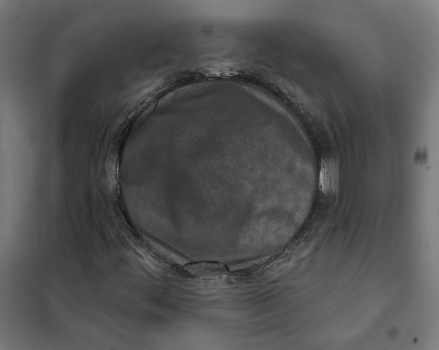 X0000101201444200807251014