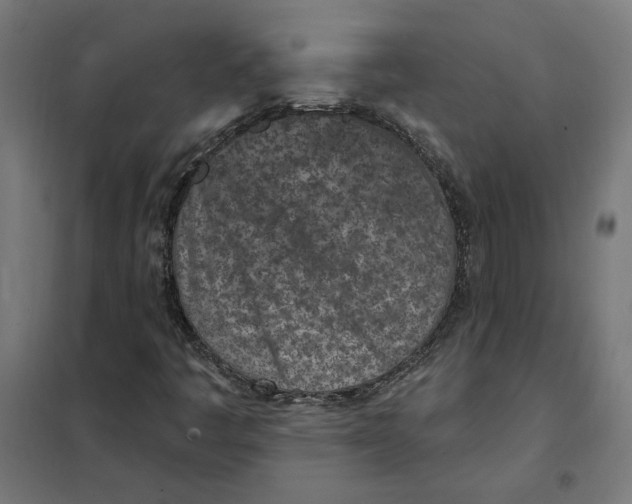 X0000101201445200807251014