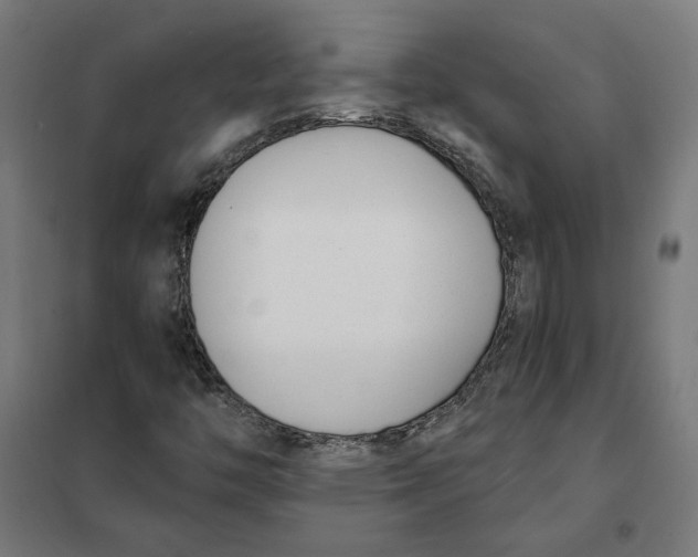 X0000101201446200807251014