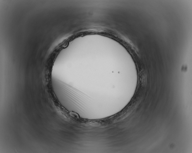 X0000101201448200807251014