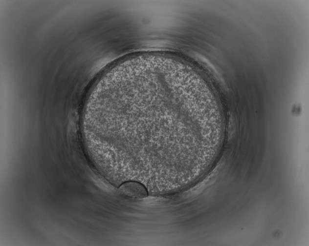 X0000101201449200807251014