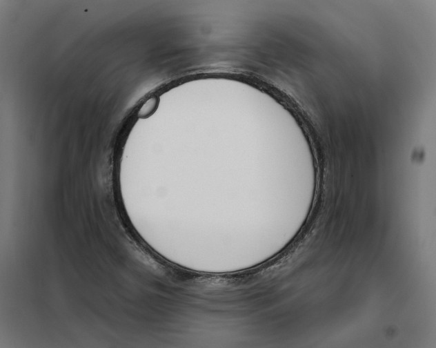 X0000101201450200807251014