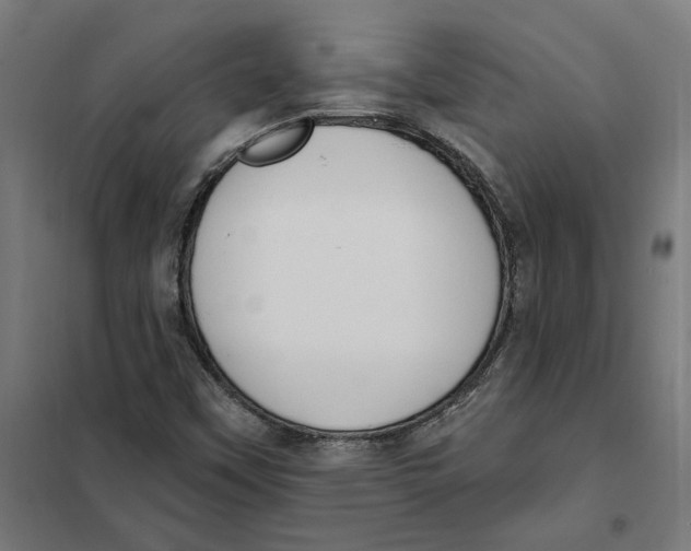 X0000101201451200807251014