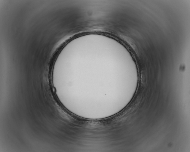 X0000101201452200807251014