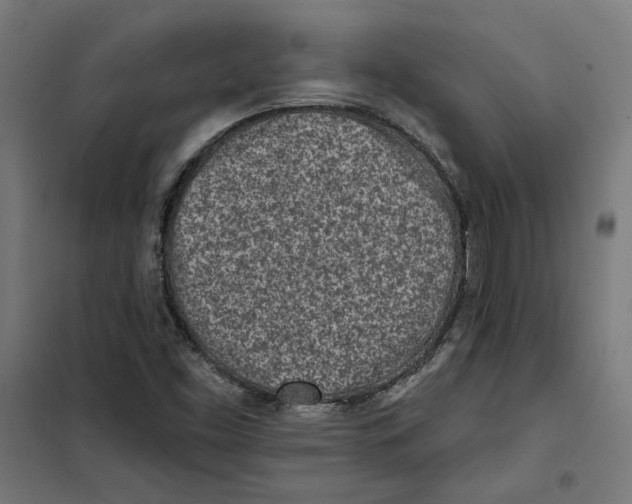 X0000101201453200807251014