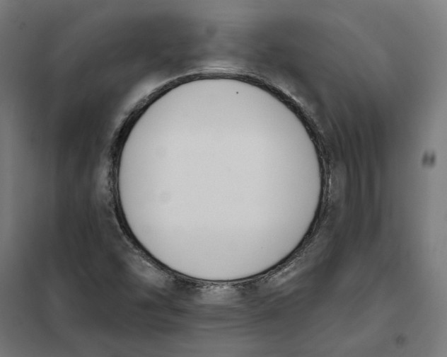 X0000101201454200807251014