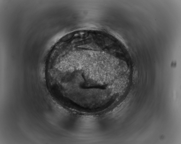 X0000101201455200807251014