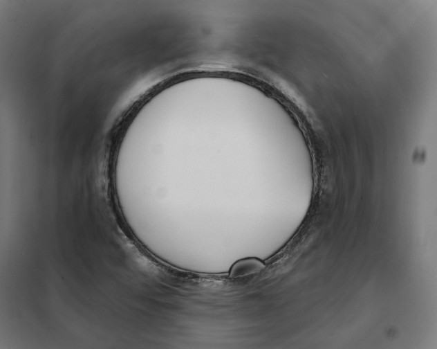 X0000101201456200807251014