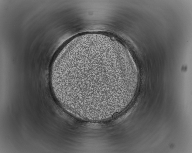 X0000101201457200807251014