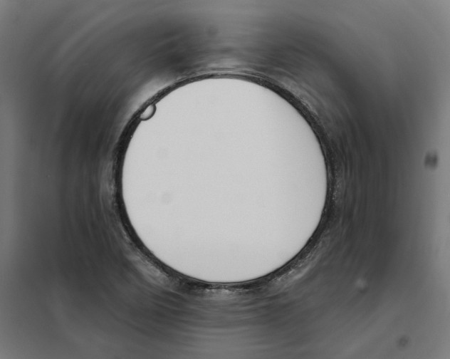 X0000101201458200807251014