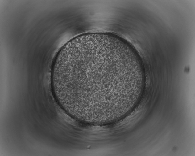 X0000101201459200807251014