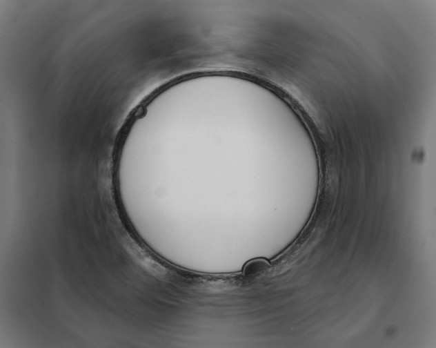 X0000101201460200807251014