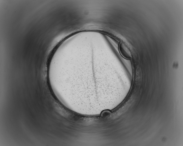 X0000101201461200807251014