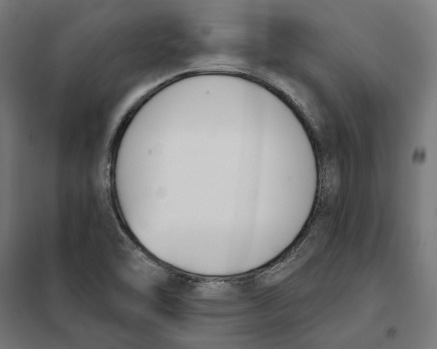 X0000101201462200807251014