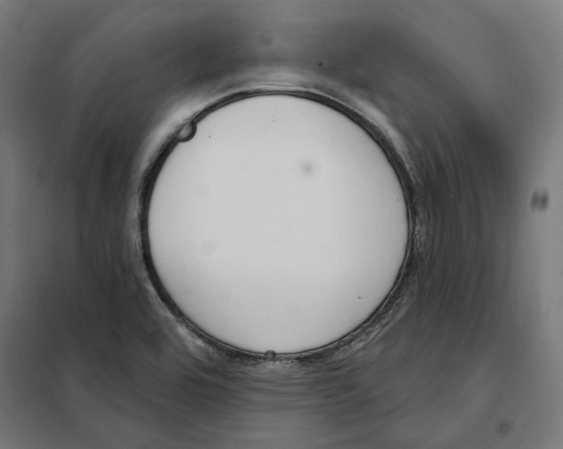 X0000101201464200807251014