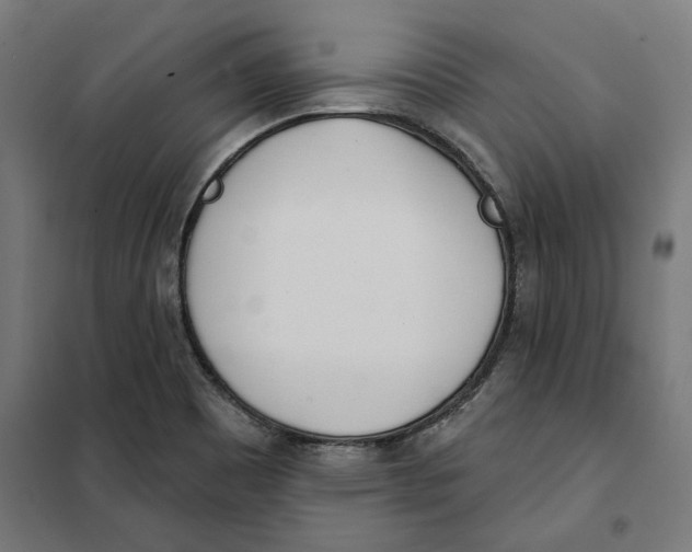 X0000101201465200807251014