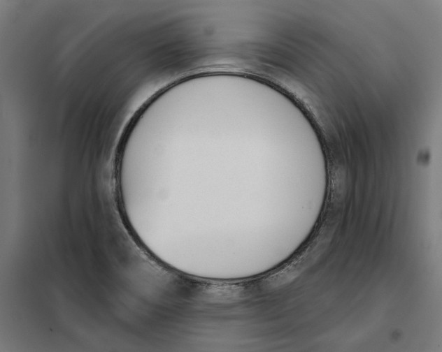 X0000101201466200807251014