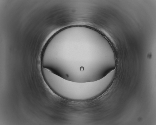 X0000101201468200807251014