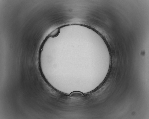 X0000101201469200807251014