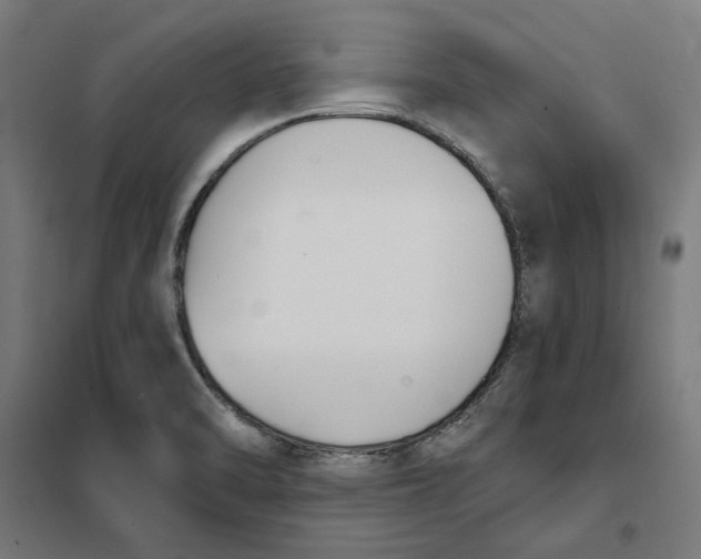 X0000101201470200807251014