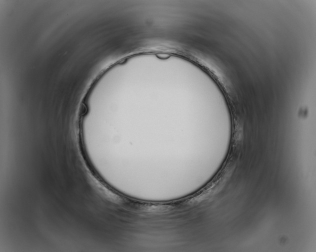 X0000101201471200807251014